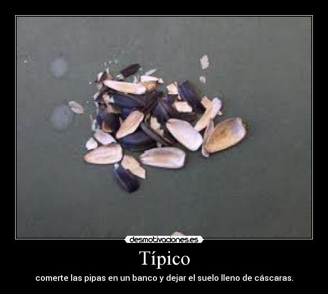 Típico - 