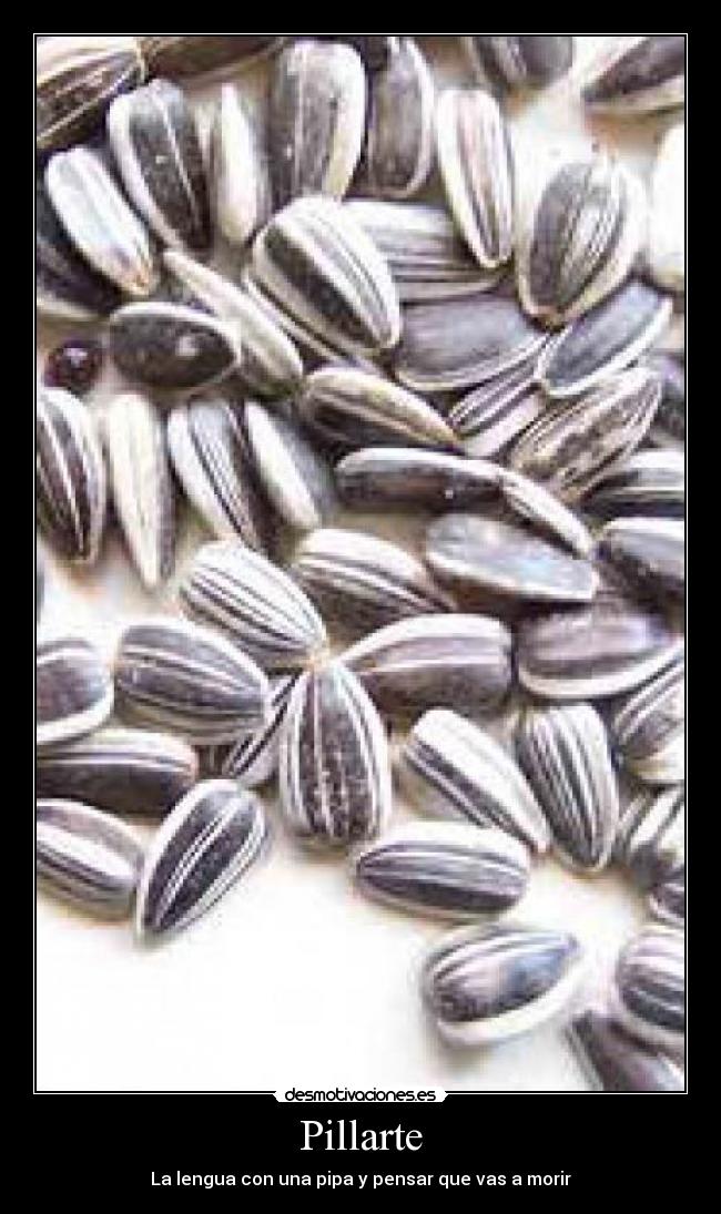 Pillarte - La lengua con una pipa y pensar que vas a morir