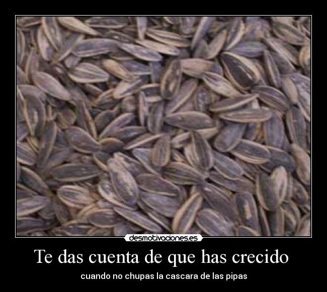 carteles pipas sal chupar desmotivaciones