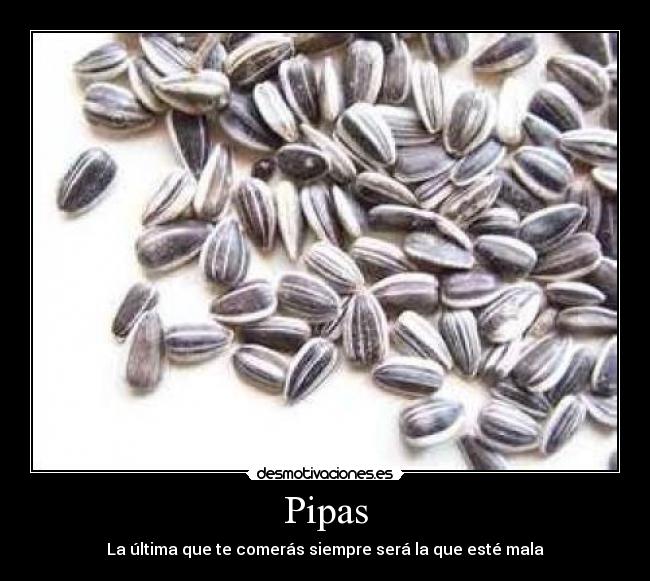 Pipas -