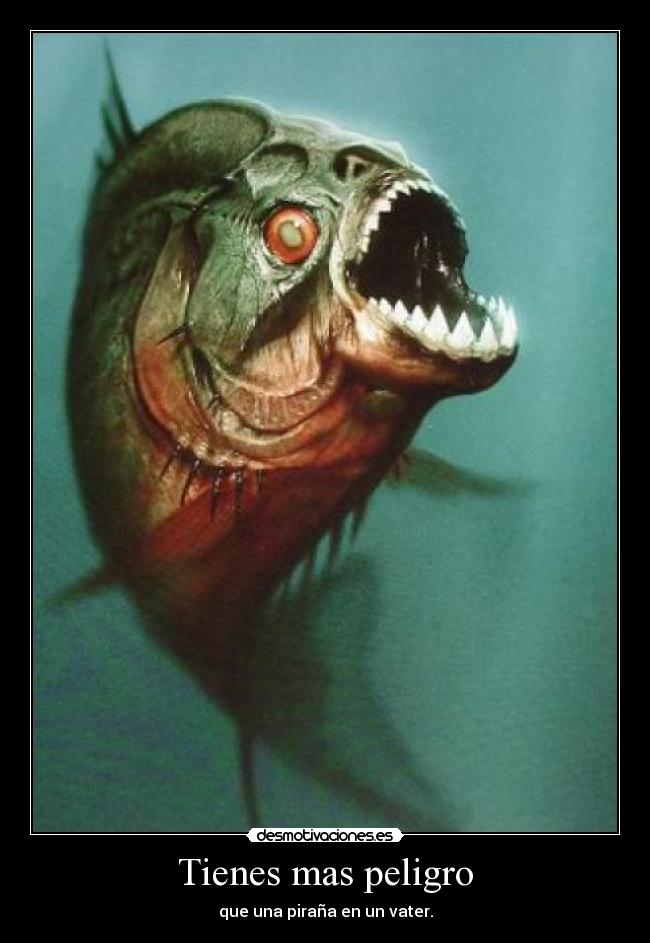 Tienes mas peligro - que una piraña en un vater.