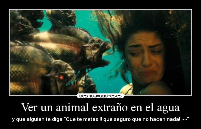 Ver un animal extraño en el agua -
