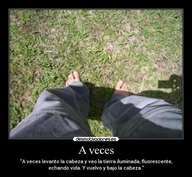 carteles veces sol vida desmotivaciones