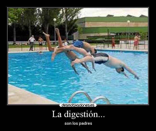La digestión... - son los padres