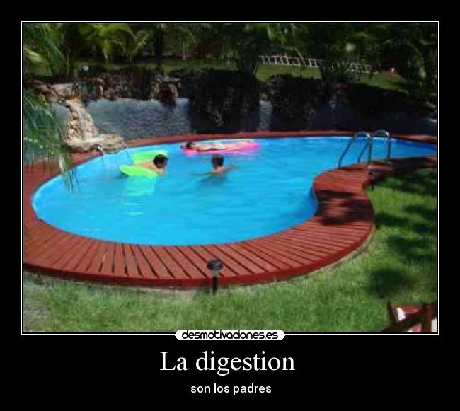 La digestion  - son los padres