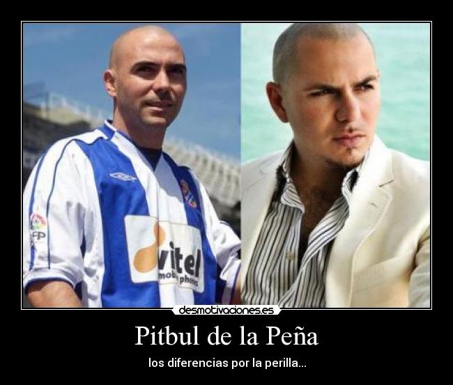 Pitbul de la Peña -