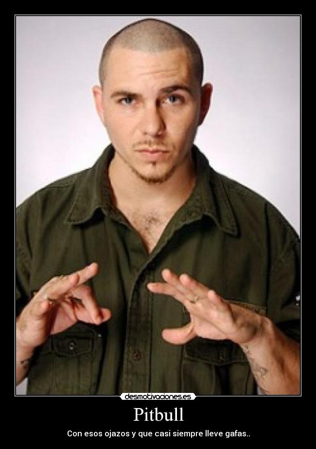 Pitbull -