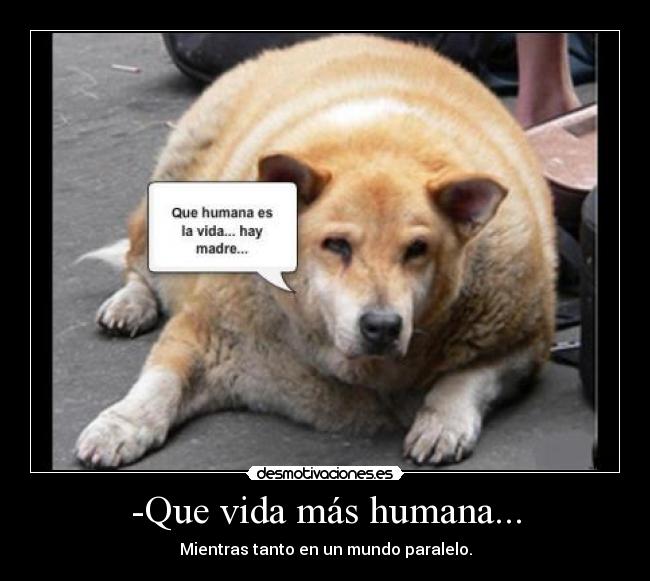 -Que vida más humana... - Mientras tanto en un mundo paralelo.