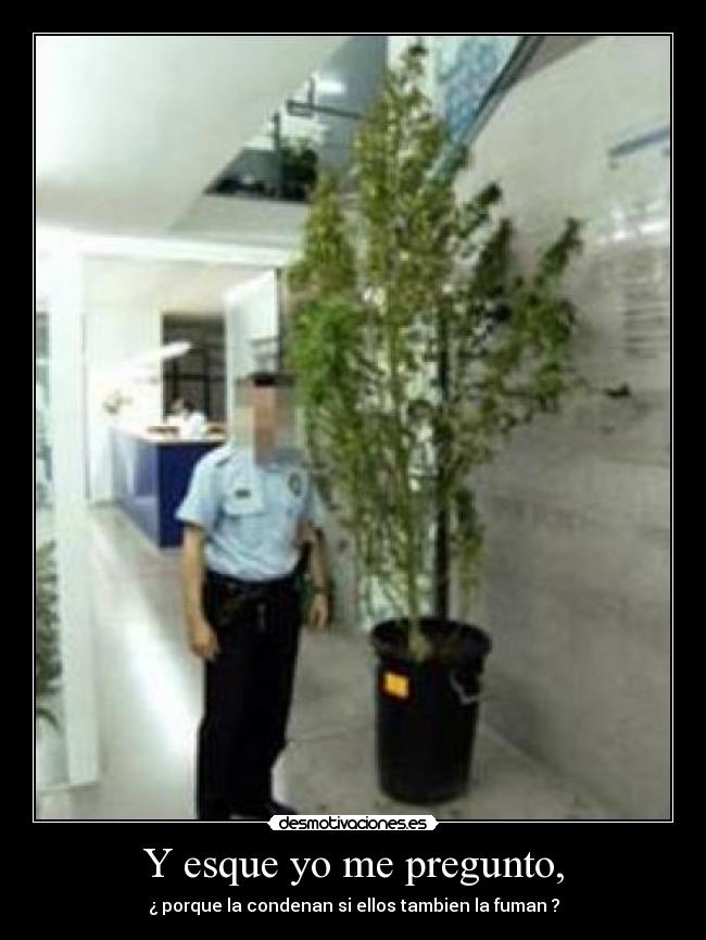 Y esque yo me pregunto, - ¿ porque la condenan si ellos tambien la fuman ?