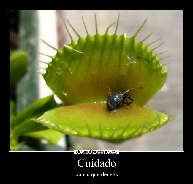 Cuidado - con lo que deseas