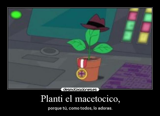Planti el macetocico, - porque tú, como todos, lo adoras.