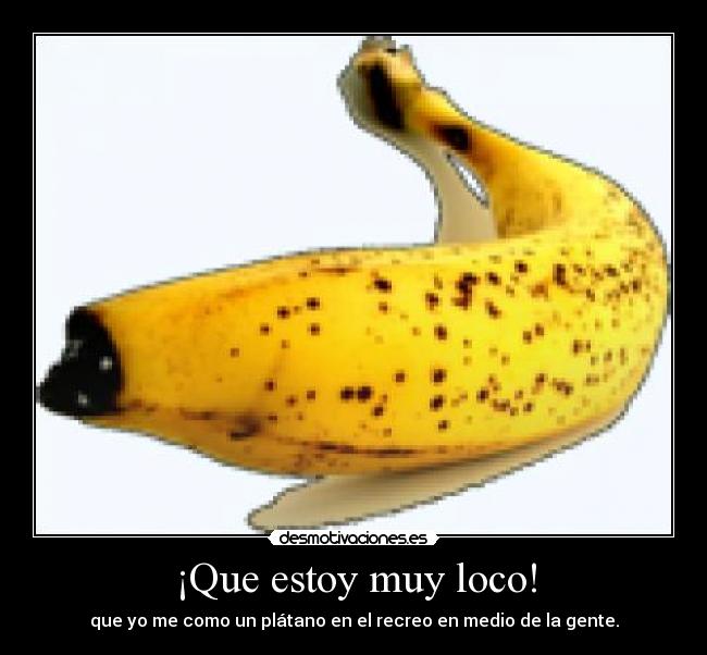 ¡Que estoy muy loco! - 