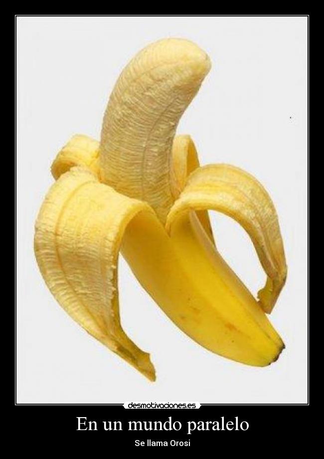 En un mundo paralelo -