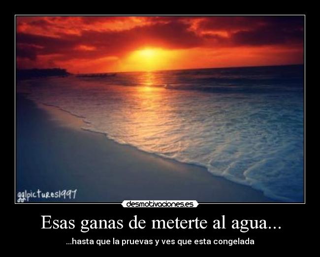 Esas ganas de meterte al agua... - 
