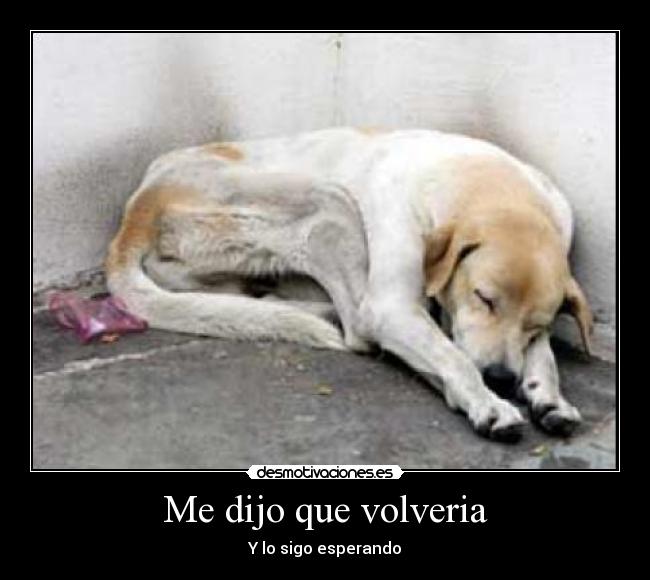 Me dijo que volveria - Y lo sigo esperando