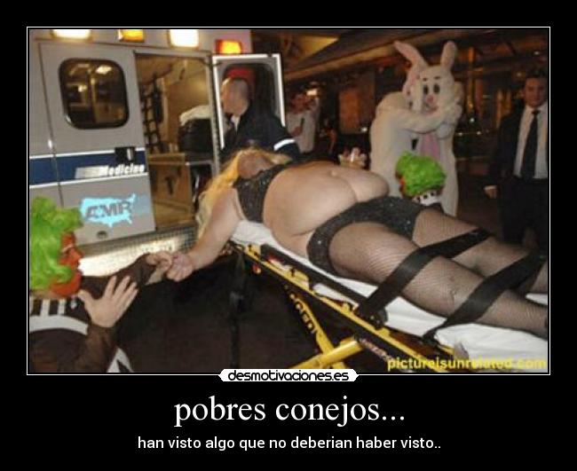 pobres conejos... - han visto algo que no deberian haber visto..