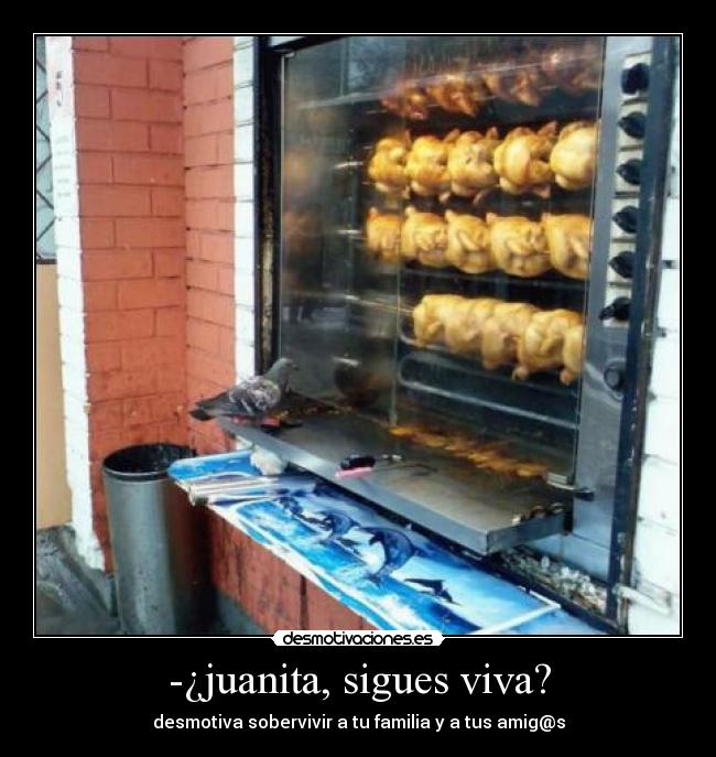 -¿juanita, sigues viva? -