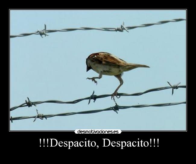 !!!Despacito, Despacito!!! -
