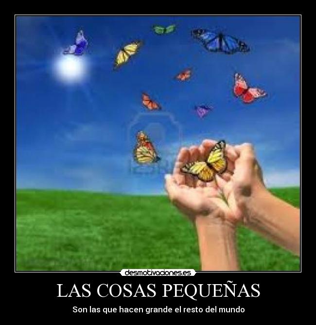 LAS COSAS PEQUEÑAS - 