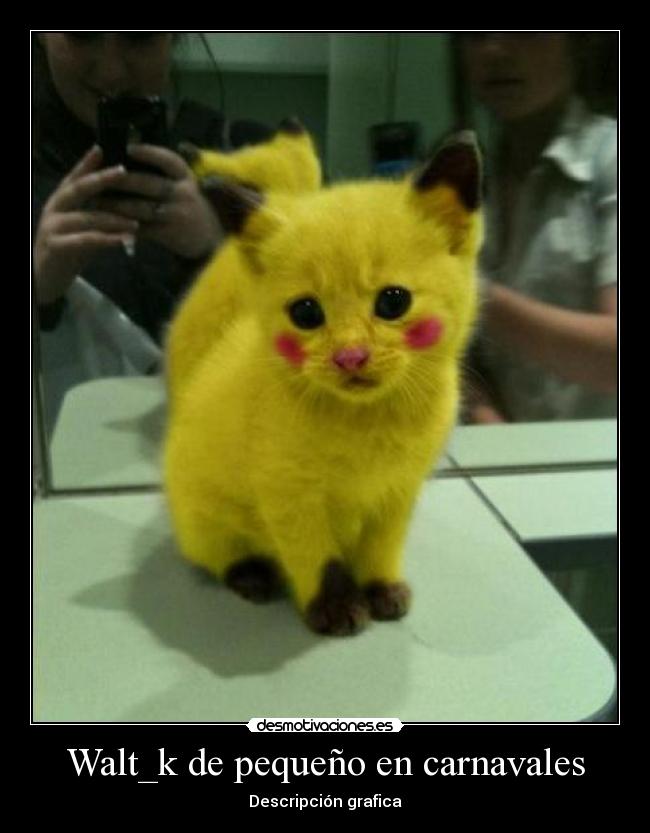 Walt_k de pequeño en carnavales - Descripción grafica