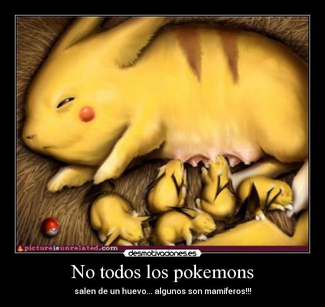 No todos los pokemons -