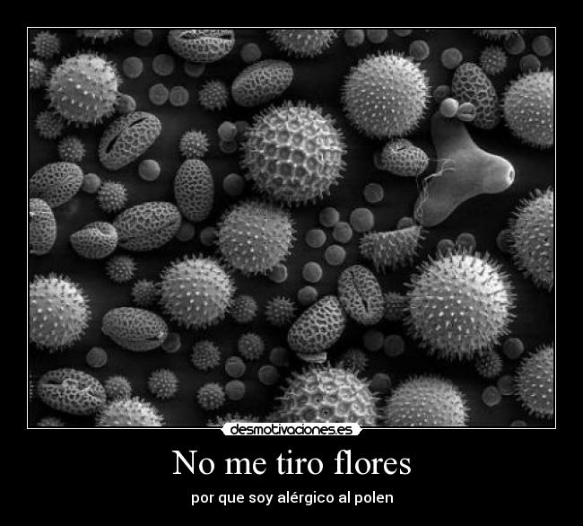 carteles kmjhgbfvcd desmotivaciones