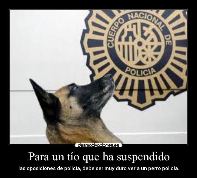 Para un tío que ha suspendido - las oposiciones de policía, debe ser muy duro ver a un perro policía.
