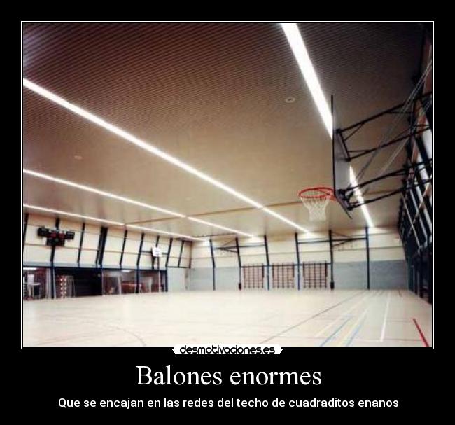 Balones enormes - Que se encajan en las redes del techo de cuadraditos enanos