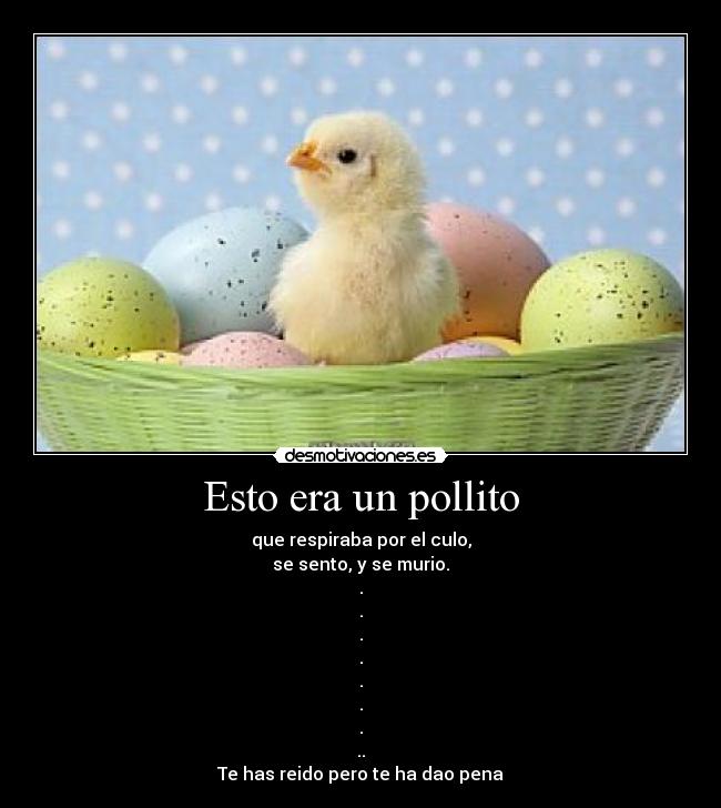 carteles esto era pollito desmotivaciones