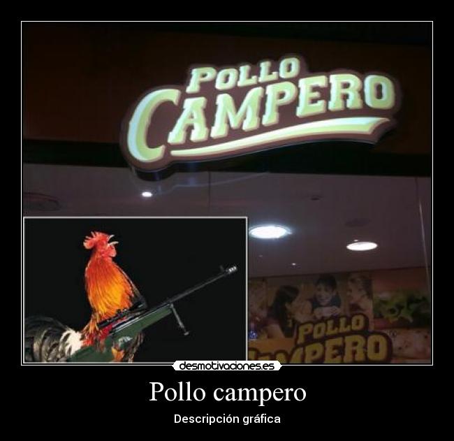 Pollo campero - 