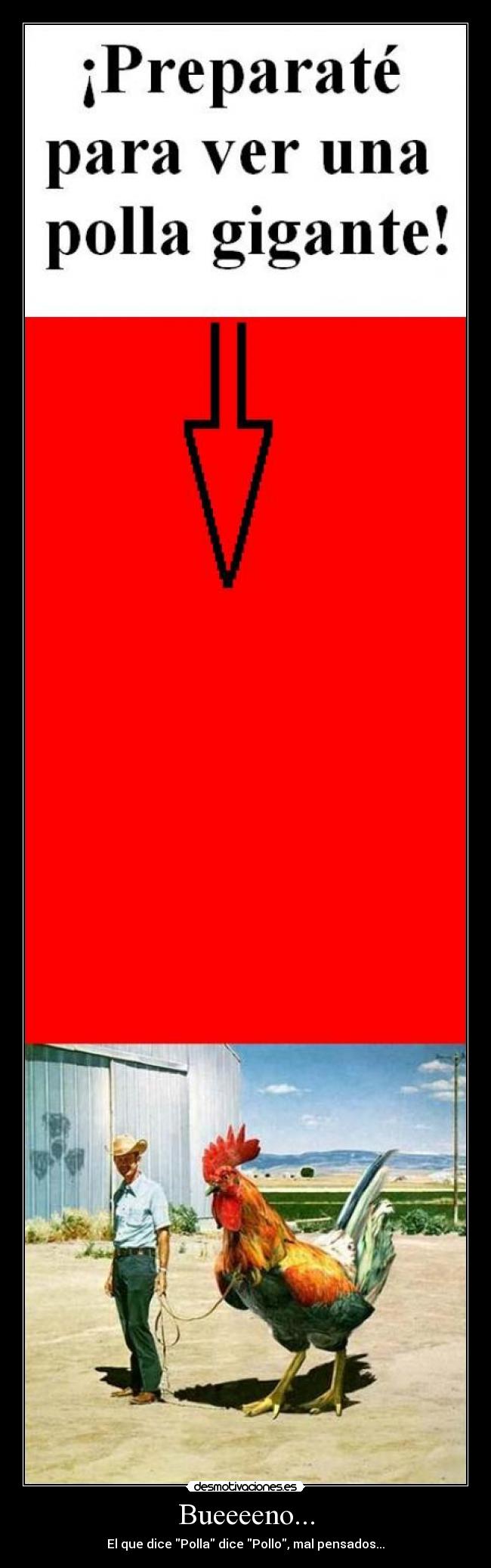 Bueeeeno... - El que dice Polla dice Pollo, mal pensados...