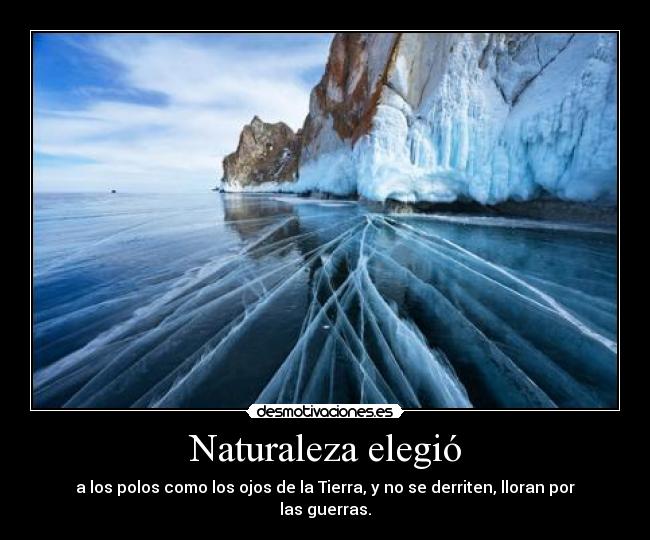 Naturaleza elegió - 