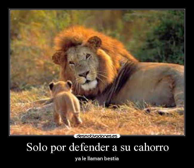 Solo por defender a su cahorro - ya le llaman bestia