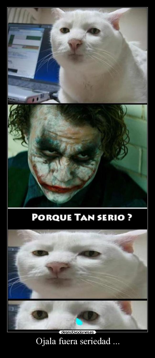 Ojala fuera seriedad ... - 