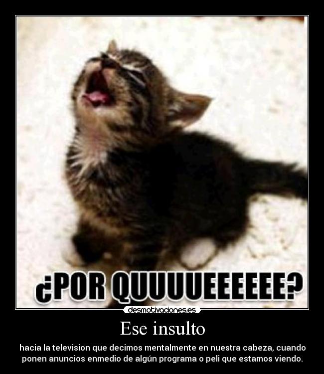 Ese insulto - hacia la television que decimos mentalmente en nuestra cabeza, cuando
ponen anuncios enmedio de algún programa o peli que estamos viendo.