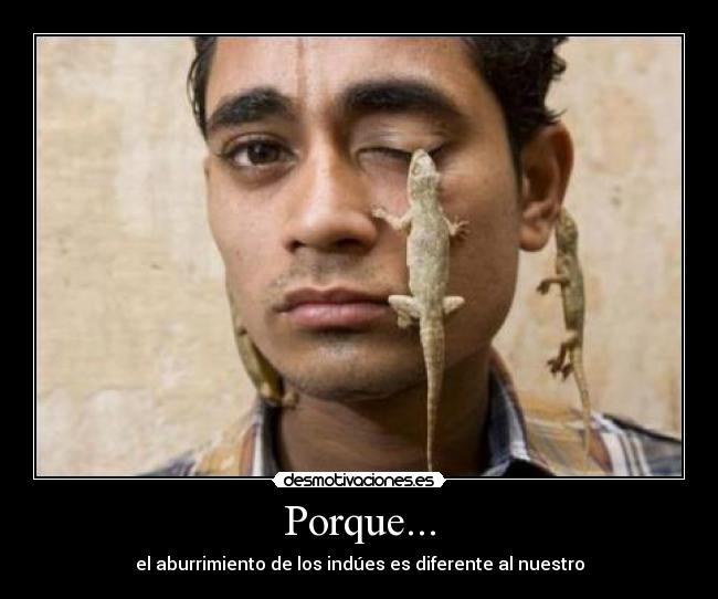 Porque... - 