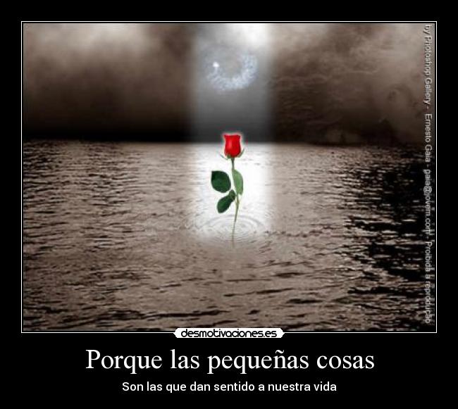 Porque las pequeñas cosas -