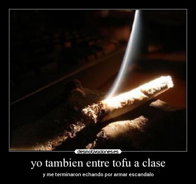 yo tambien entre tofu a clase -