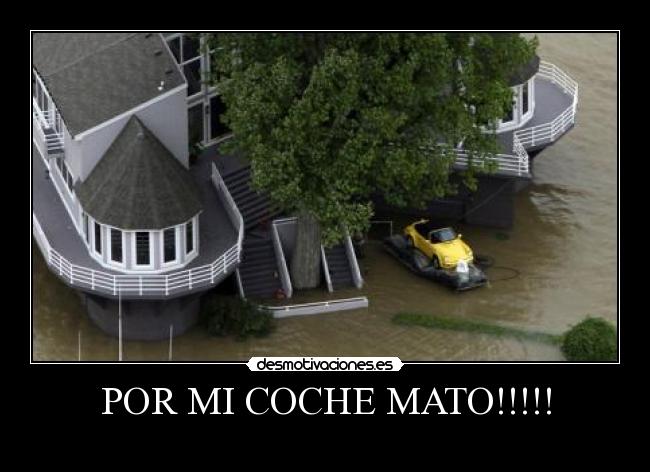POR MI COCHE MATO!!!!! -