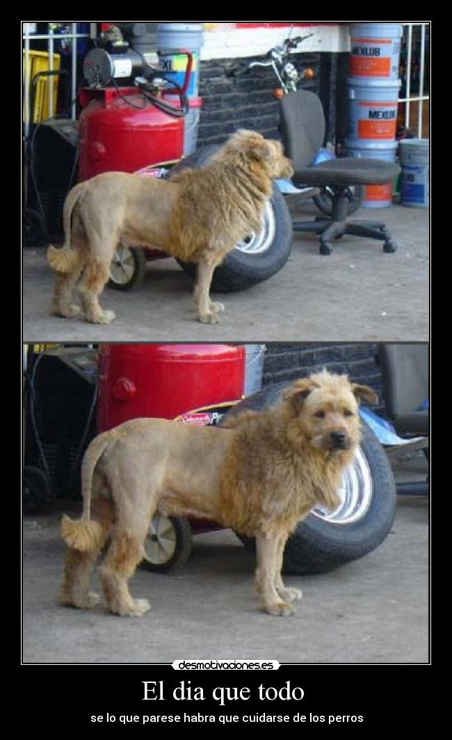 carteles wwwdesmotivacioneses desmotivaciones