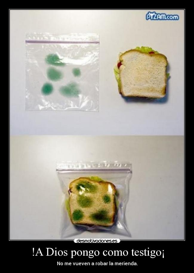 !A Dios pongo como testigo¡ - No me vueven a robar la merienda.