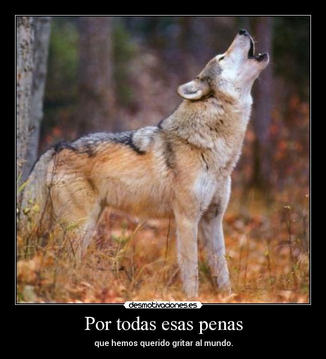 Por todas esas penas - que hemos querido gritar al mundo.