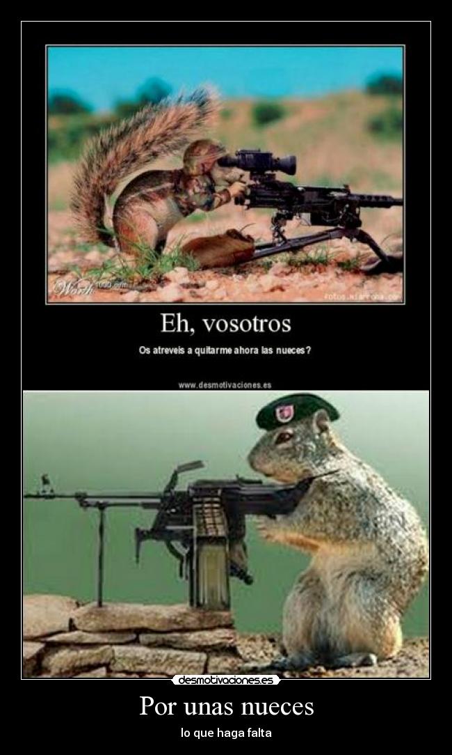 Por unas nueces - lo que haga falta