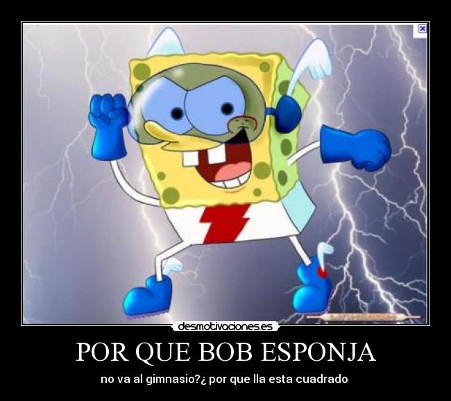 POR QUE BOB ESPONJA -