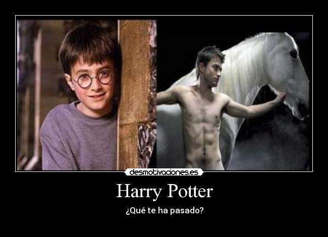 Harry Potter -