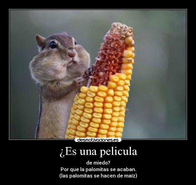 ¿Es una pelicula - de miedo?
Por que la palomitas se acaban.
(las palomitas se hacen de maíz)