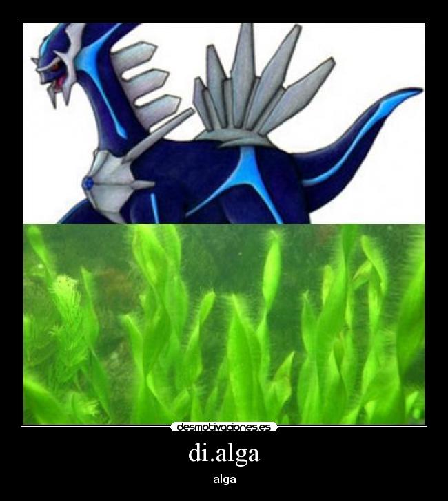 di.alga - alga