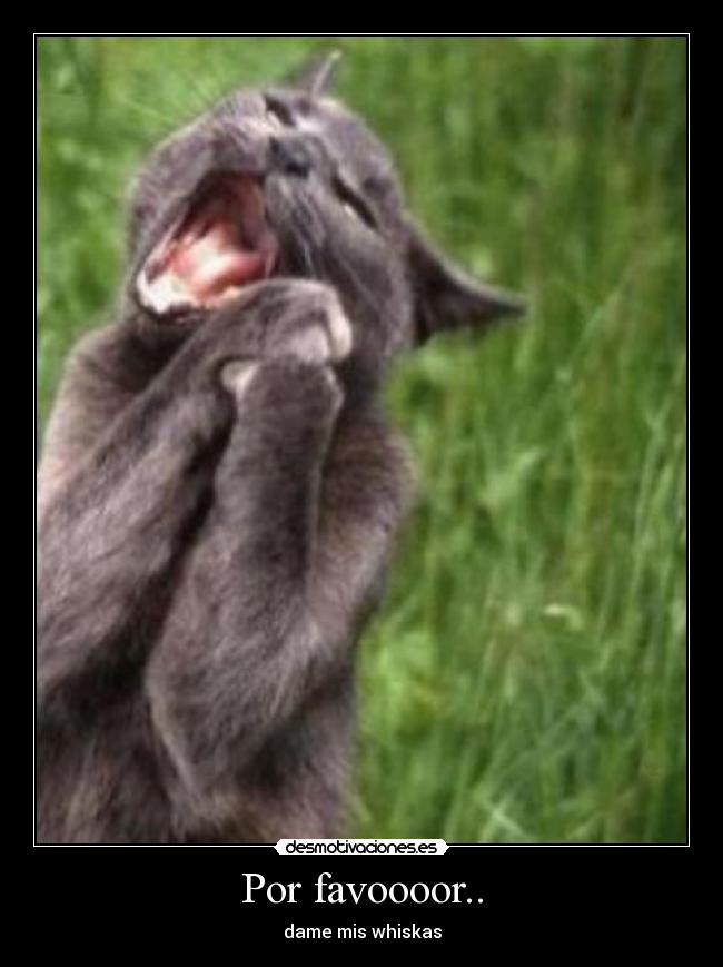 Por favoooor.. - 