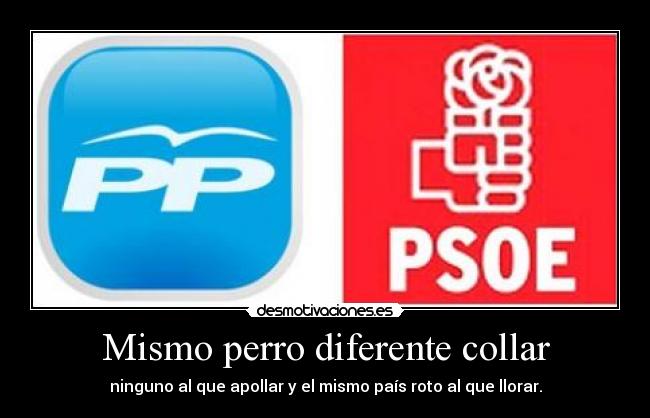 Mismo perro diferente collar -