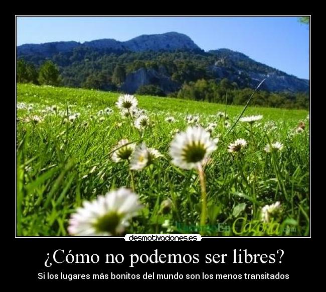 ¿Cómo no podemos ser libres? -